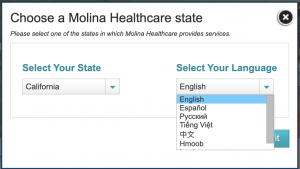 Example from Molina Healthcare